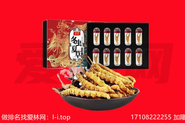 廊坊固安县回收虫草.jpg